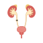 Fragments pass naturally through urine over time